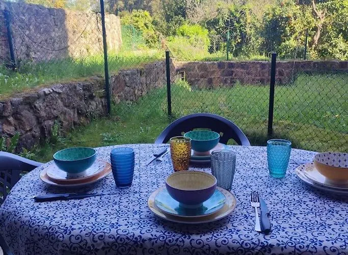 Dormirse En Laureles * Novales