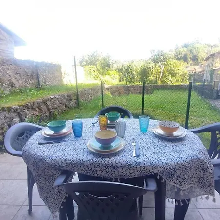 Dormirse En Laureles * ノバレス